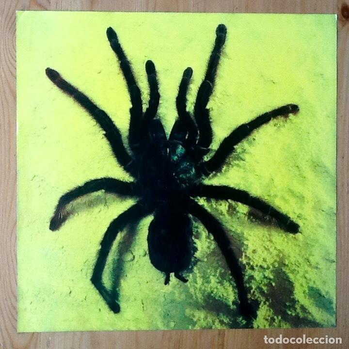 Discos de vinilo: KASTRIERTE PHILOSOPHEN : NERVES [VEMSA - ESP 1989] LP - Foto 3