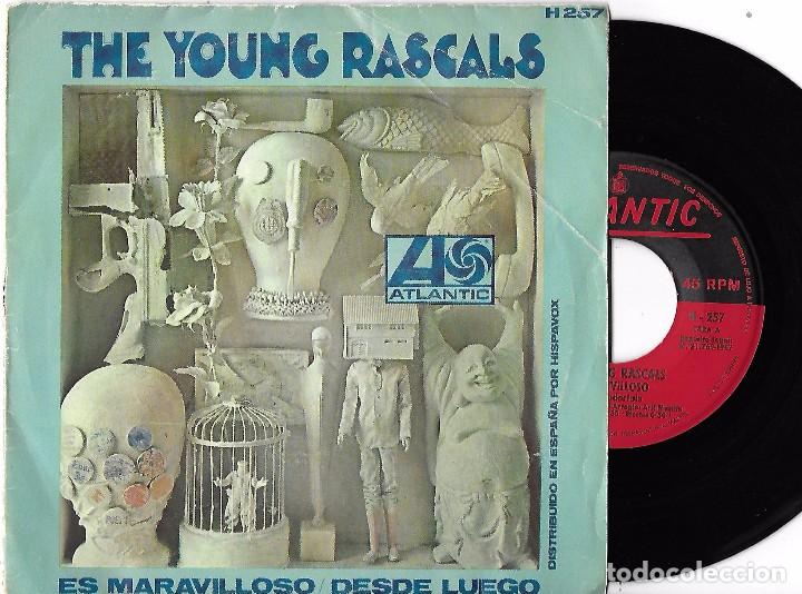Discos de vinilo: YOUNG RASCALS, THE: ES MARAVILLOSO (IT&acute;S WONDERFUL) / DESDE LUEGO (OF COURSE)