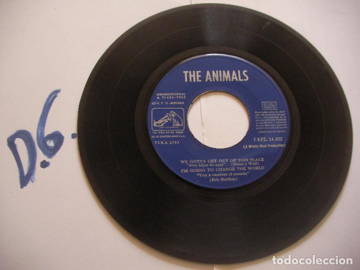 Discos de vinilo: ANTIGUO SINGLE - THE ANIMALS - ENVIO INCLUIDO A ESPA&Ntilde;A - Foto 1