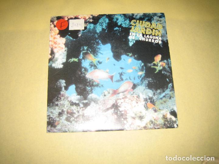 Discos de vinilo: CIUDAD JARDIN - Foto 1