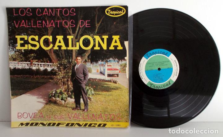 Disques de vinyle: BOVEA Y SUS VALLENATOS - Los cantos de Escalona - LP Tropical LD-1283 VG++/VG+