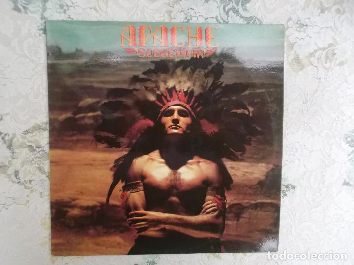 Discos de vinilo: APACHE,SOBREVIVIR, EPIC 1979 LP PROMOCIONAL - Foto 1