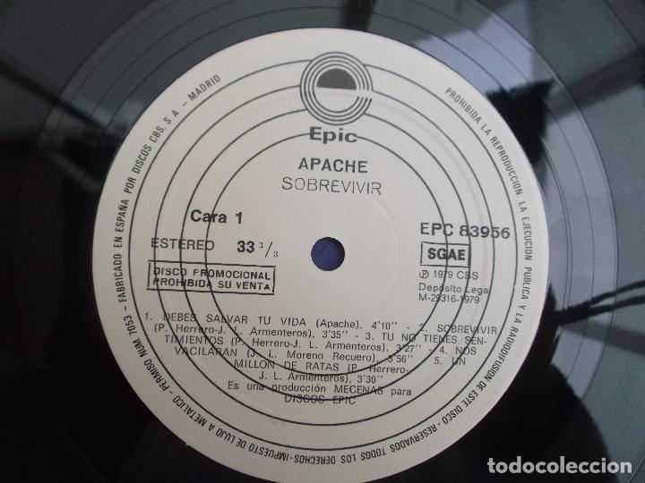 Discos de vinilo: APACHE,SOBREVIVIR, EPIC 1979 LP PROMOCIONAL - Foto 3