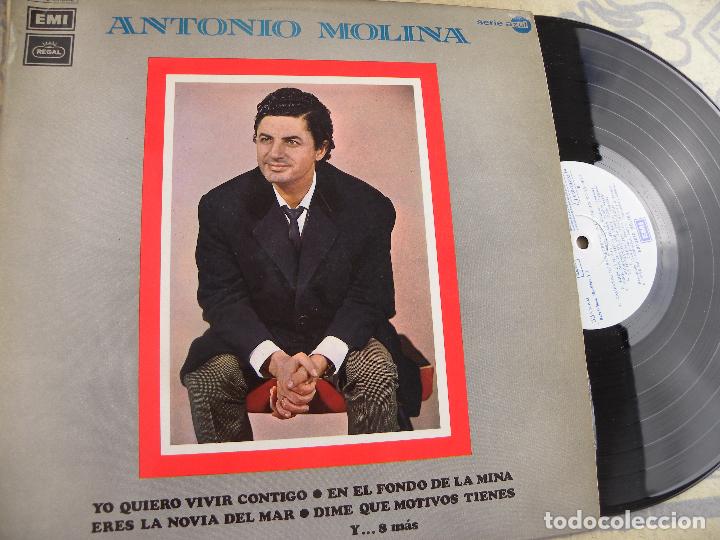 Discos de vinilo: ANTONIO MOLINA -LP 1972 EMI - Foto 1