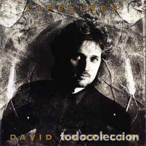 Discos de vinilo: DAVID KNOPFLER - LIFELINES LP - Foto 1
