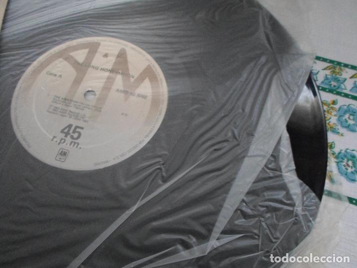 Discos de vinilo: THE LONG HONEYMOON THE AMAZOON - Foto 2