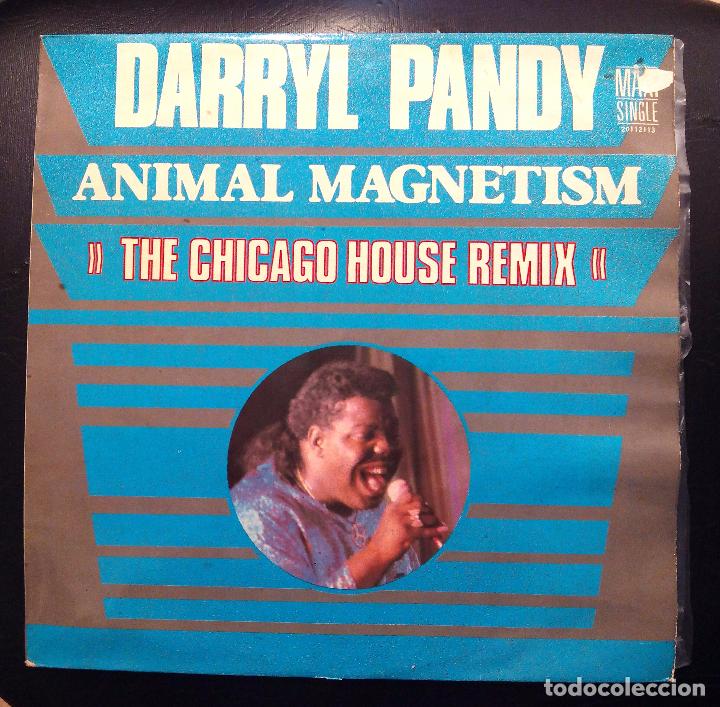 Discos de vinilo: MAXI SINGLE DARRYL PANDY - ANIMAL MAGNETISM - SONIC 1987. - Foto 1