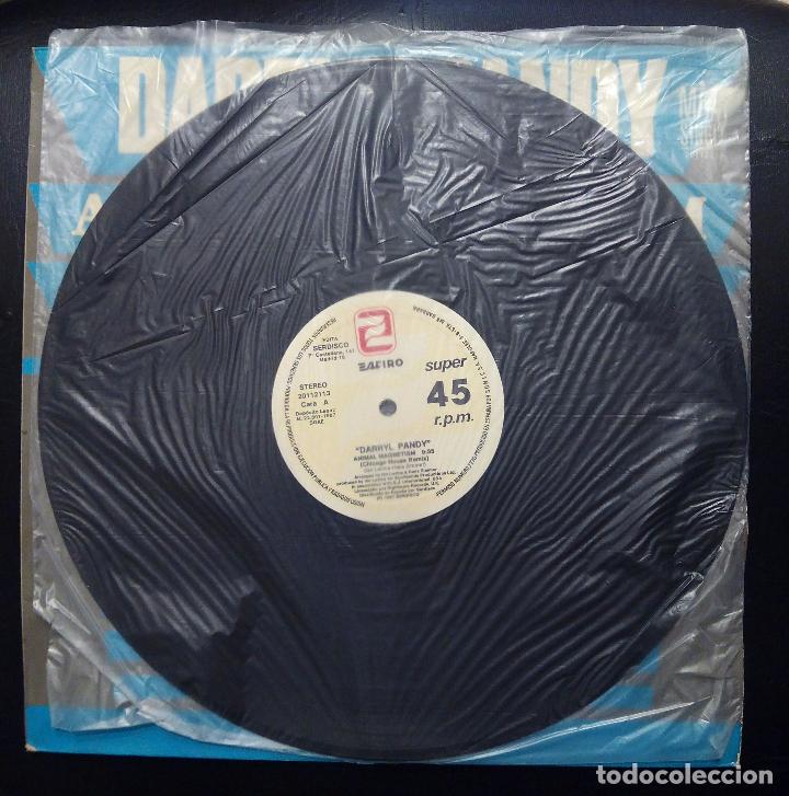 Discos de vinilo: MAXI SINGLE DARRYL PANDY - ANIMAL MAGNETISM - SONIC 1987. - Foto 3