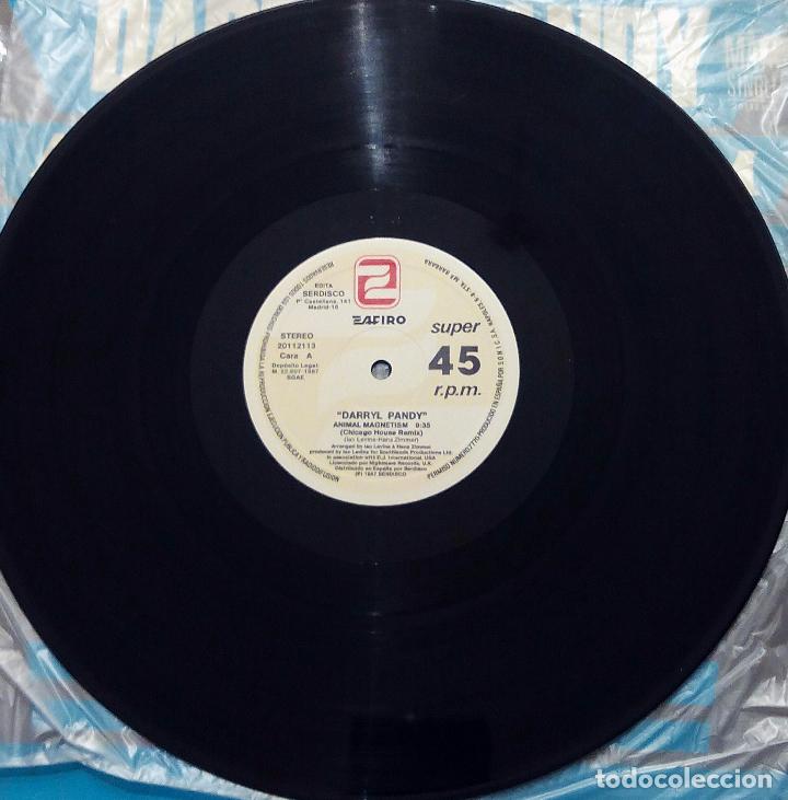 Discos de vinilo: MAXI SINGLE DARRYL PANDY - ANIMAL MAGNETISM - SONIC 1987. - Foto 4