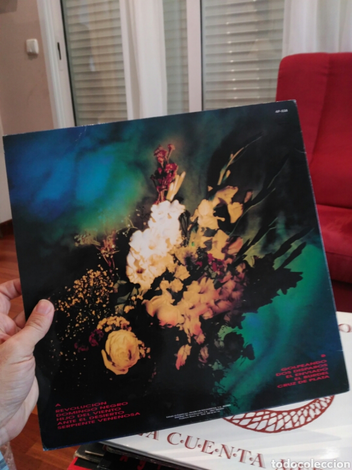 Discos de vinilo: Las flores del mal d&oacute;nde termina la luz - Foto 1