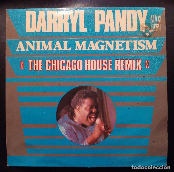 Discos de vinilo: MAXI SINGLE DARRYL PANDY - ANIMAL MAGNETISM - SONIC 1987. - Foto 1