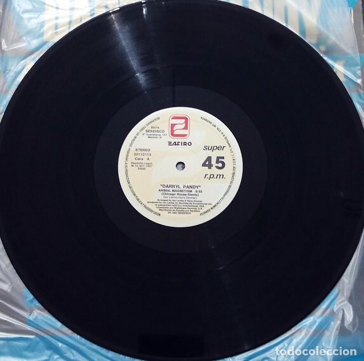 Discos de vinilo: MAXI SINGLE DARRYL PANDY - ANIMAL MAGNETISM - SONIC 1987. - Foto 4