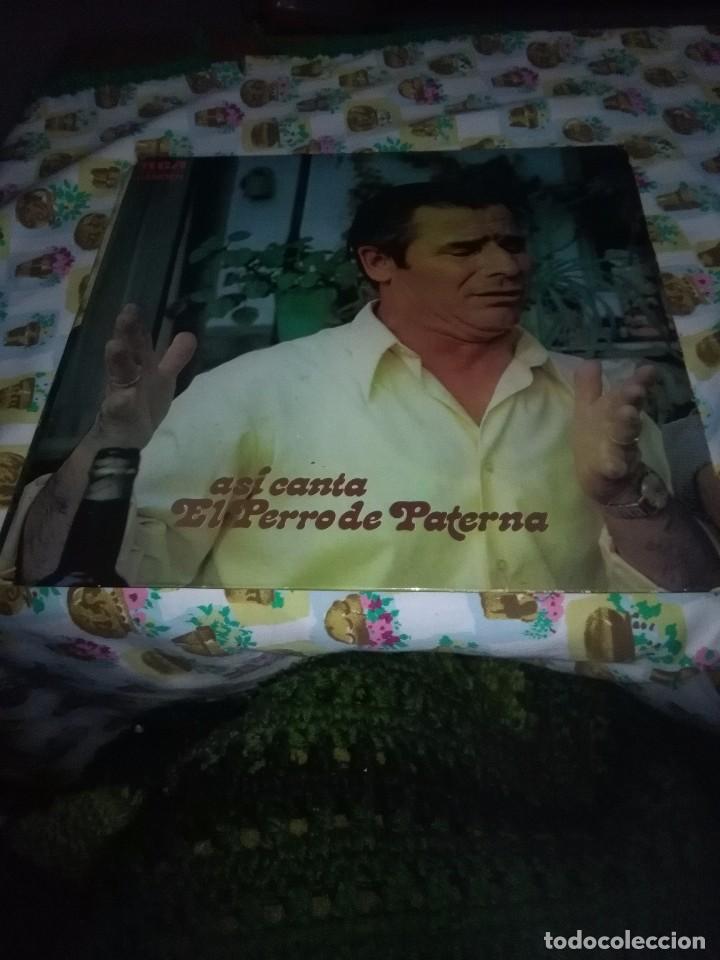 Discos de vinilo: AS&Iacute; CANTA EL PERRO DE PATERNA. C6V - Foto 1