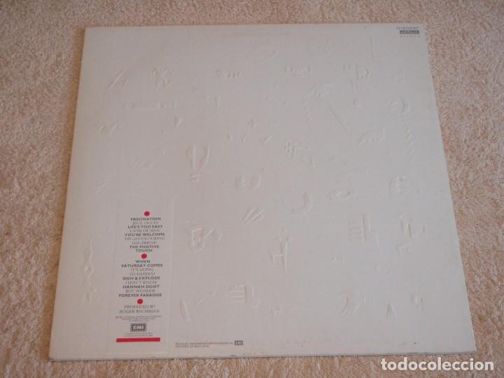 Discos de vinilo: THE UNDERTONES ( POSITIVE TOUCH ) 1981 - HOLANDA LP33 EMI - Foto 2