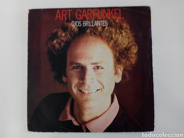 Discos de vinilo: S&oacute;lo portada Art Garfunkel - Foto 1