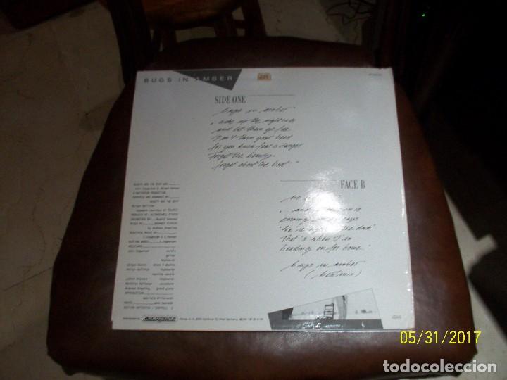 Discos de vinilo: BEAUTY BEAT-BUGS IN AMBER - Foto 2