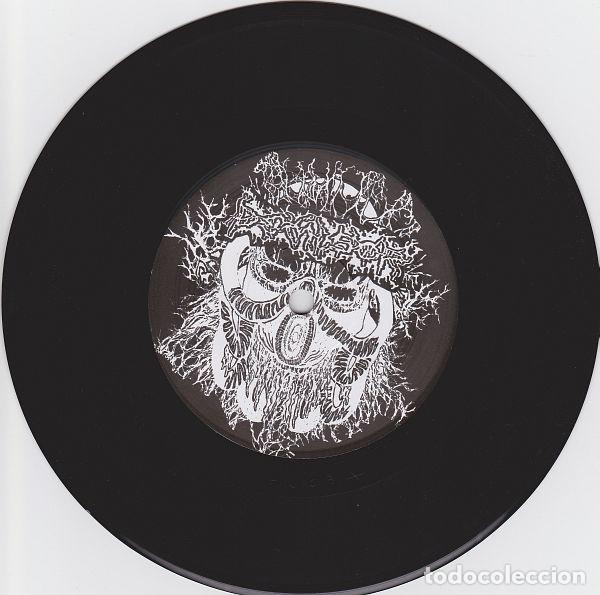 Discos de vinilo: Demisor/ Arseripper -DEATH METAL GRIND CORE - Foto 2