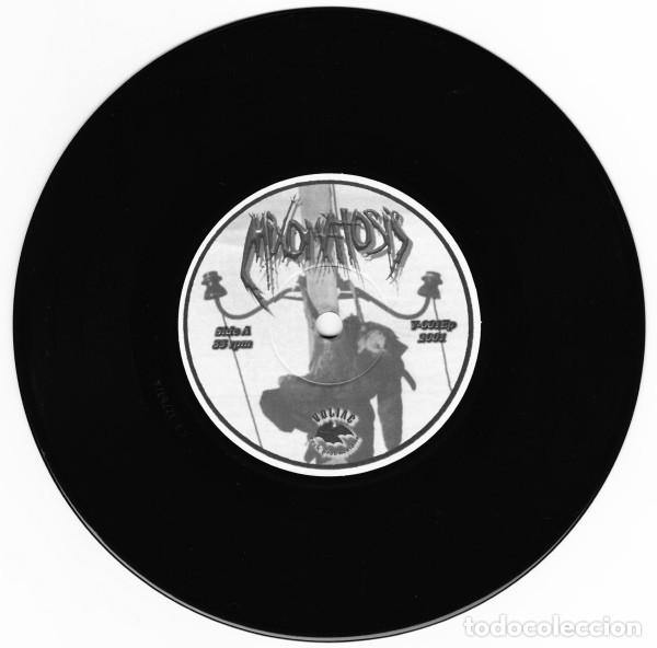 Discos de vinilo: Mixomatosis /Damnable-SPLIT EP GRIND CORE CARCASS NAPALM DEATH - Foto 3