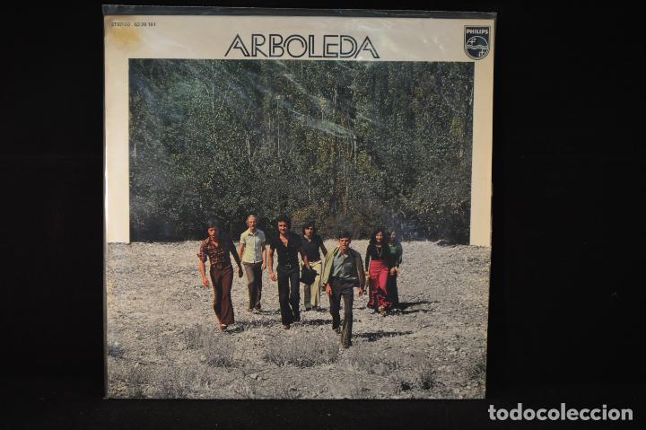 Discos de vinilo: ARBOLEDA - ARBOLEDA - LP - Foto 1