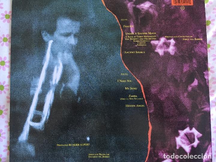 Discos de vinilo: LP HERB ALPERT-UNDER A SPANISH MOON - Foto 3