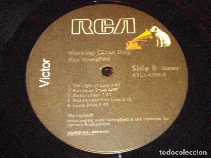 Discos de vinilo: Rick Springfield &lrm;&ndash; Working Class Dog USA,1981 RCA Victor - Foto 5