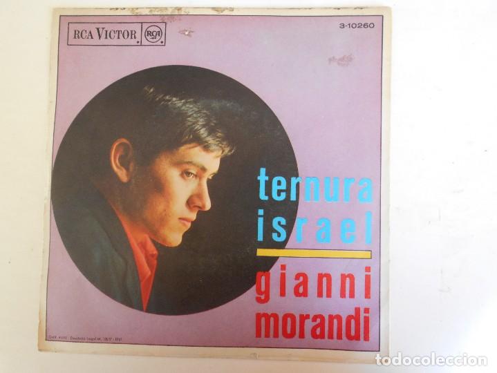Discos de vinilo: GIANNI MORANDI-SINGLE TERNURA- 1967 - Foto 2