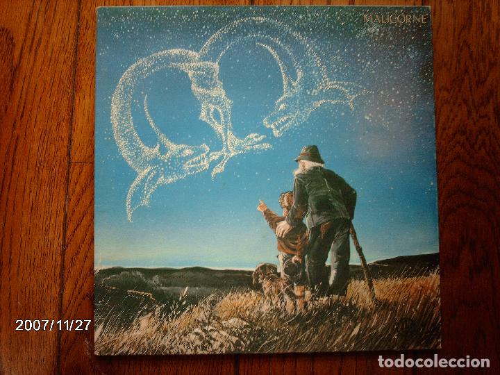 Discos de vinilo: malicorne  -  edici&oacute;n francesa - Foto 1