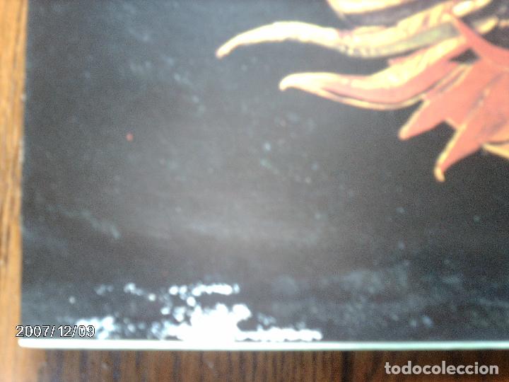 Discos de vinilo: amii stewart  -  paradise bird - Foto 5