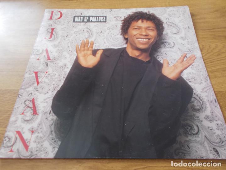 Discos de vinilo: DJAVAN BIRD OF PARADISE - Foto 1