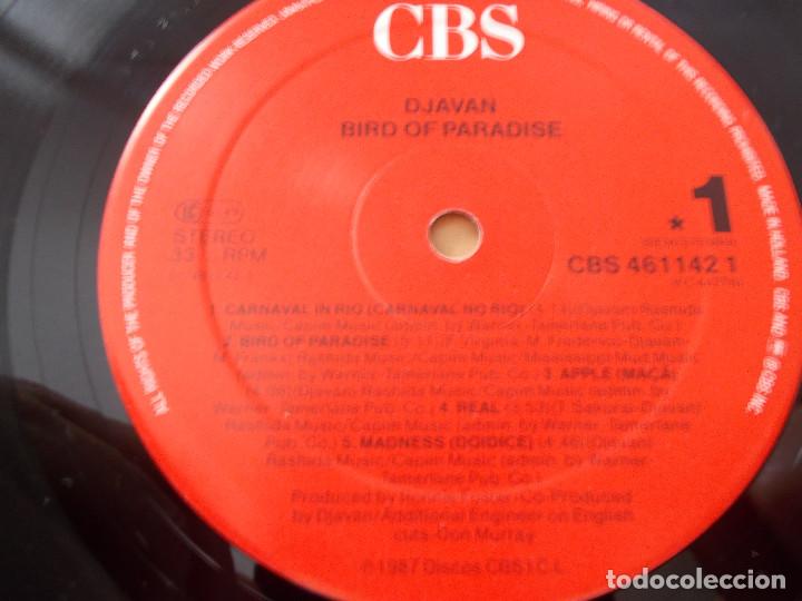 Discos de vinilo: DJAVAN BIRD OF PARADISE - Foto 4
