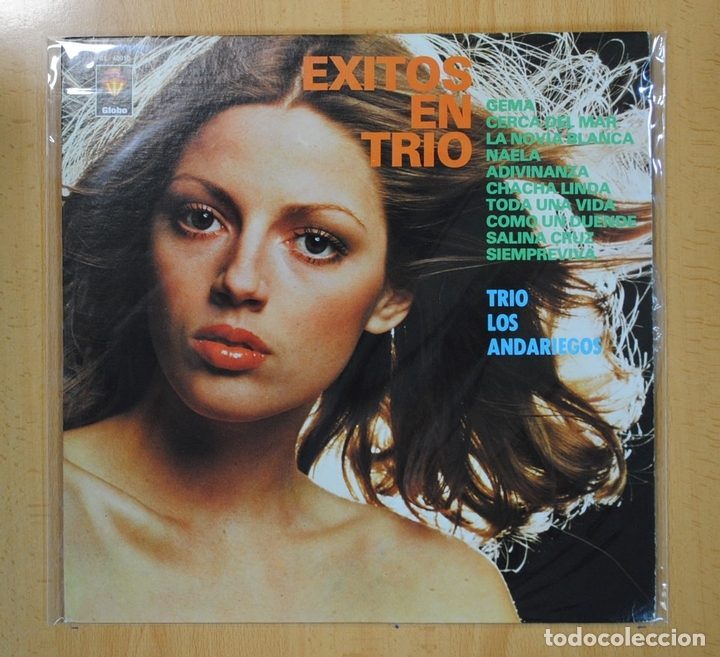 Discos de vinilo: TRIO LOS ANDARIEGOS - EXITOS EN TRIO - LP - Foto 1