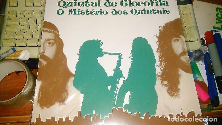 Disques de vinyle: Quintal de clorofila lp o misterio dos quintas.2014.precintado