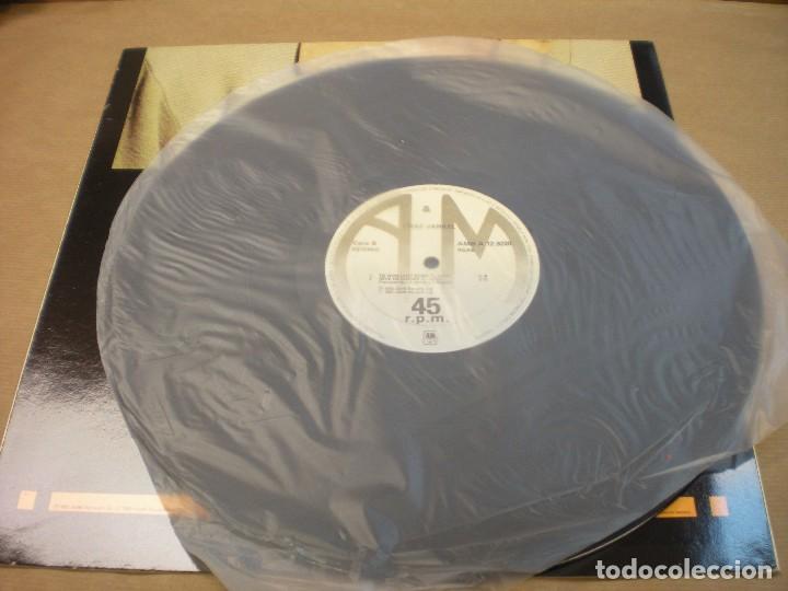 Discos de vinilo: CHAZ JANKEL. Without you - Foto 3
