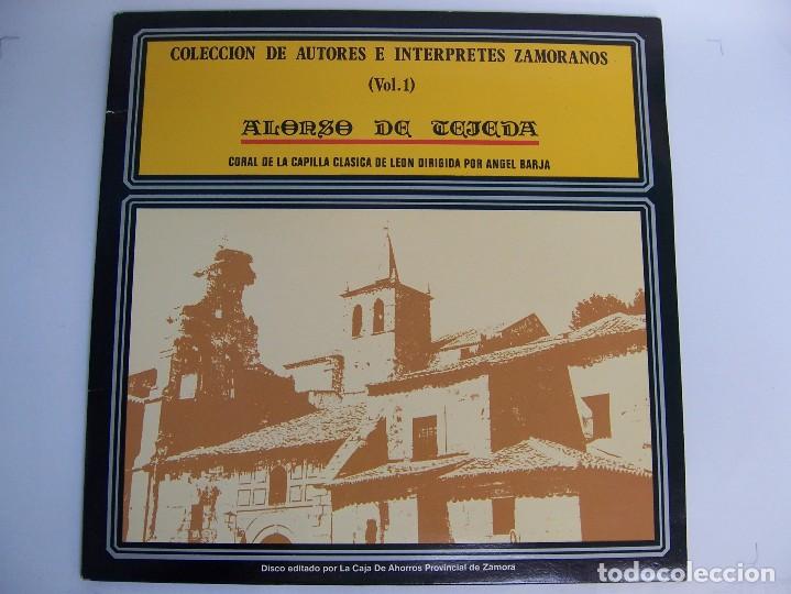 Dischi in vinile: coleccion de autores e interpretes zamoranos volumen 1, alonso de tejeda