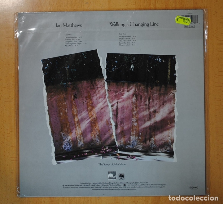 Discos de vinilo: IAN MATTHEWS - WALKING A CHANGING LINE - LP - Foto 2