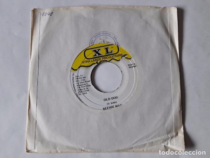 Discos de vinilo: Beenie Man - Old Dog - 1996 - SINGLE - Foto 1