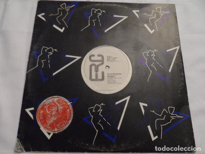 Discos de vinilo: NORMA - LIFE IS THE REASON - Foto 1