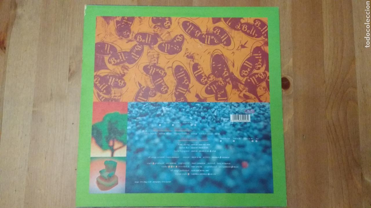 Discos de vinilo: Belly -Feed TheTree- - Foto 2