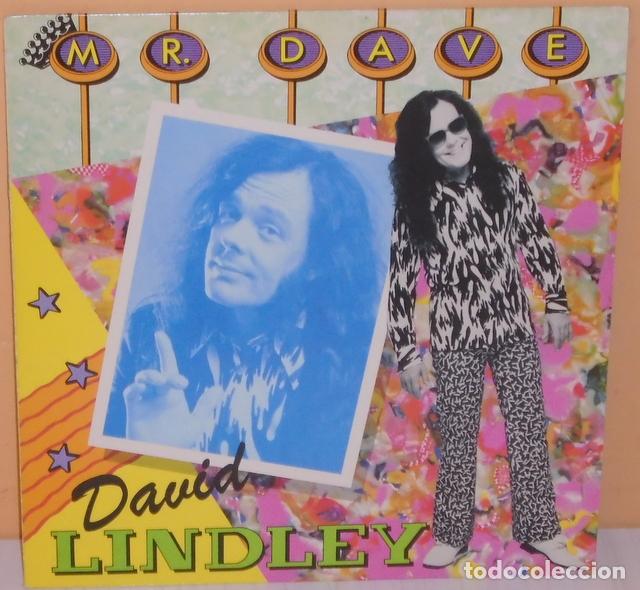 Discos de vinilo: DAVID LINDLEY - MR. DAVE W E A PROMOCIONAL - 1985 - Foto 1