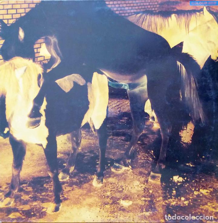 Discos de vinilo: COLOUR BOX, SHOTGUN. MAXI SINGLE 4 TEMAS ESPA&Ntilde;A - Foto 1