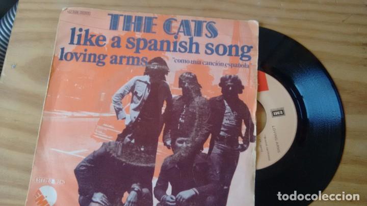 Discos de vinilo: SINGLE (VINILO) DE THE CATS A&Ntilde;OS 70 - Foto 1