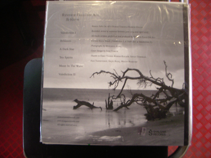 Discos de vinilo: REVERIE FALLS ON ALL- REBLOOM - Foto 2