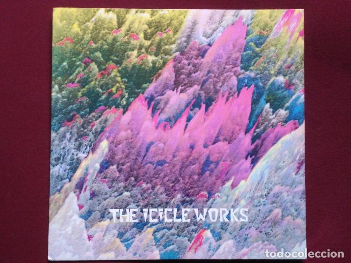 Disques de vinyle: The Icicle Works-Birds Fly (7'' single.Situation Two.1983) similar: U2,Neil Hannon (Divine comedy)