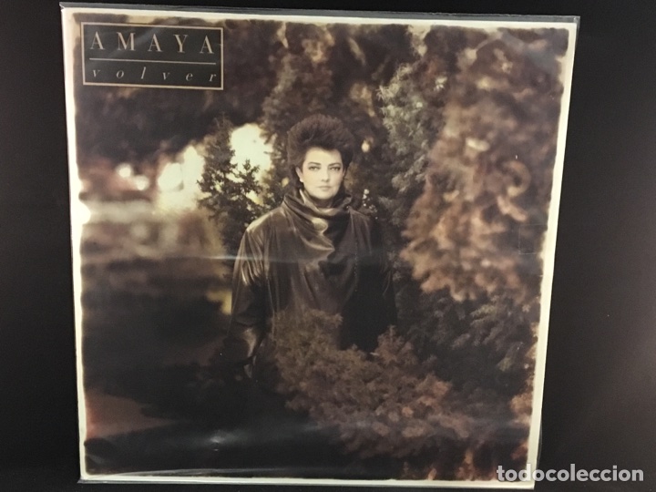 Discos de vinilo: Amaya - volver - Lp - Foto 1