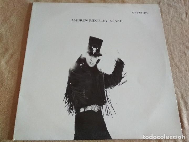 Discos de vinilo: andrew Ridgeley. shake. CBS 1990. - Foto 1