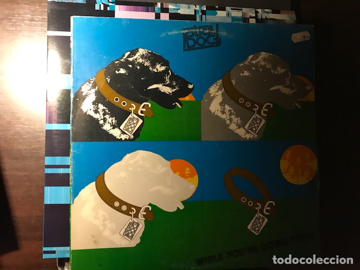 Discos de vinilo: While you&rsquo;re down there. Stray dog - Foto 1