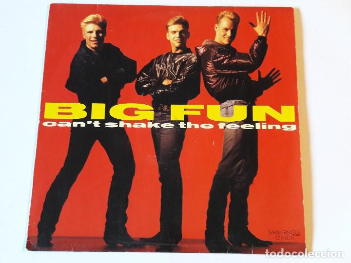 Discos de vinilo: Big Fun - Cant Shake The Feeling - 1989 - Foto 1