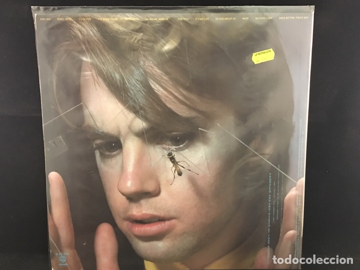 Discos de vinilo: Shaun Cassidy - Wasp - Lp - Foto 2