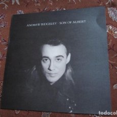 Discos de vinilo: ANDREW RIDGELEY- LP DE VINILO- TITULO SON OF ALBERT- CON 9 TEMAS- ORIGINAL DEL 90- NUEVO