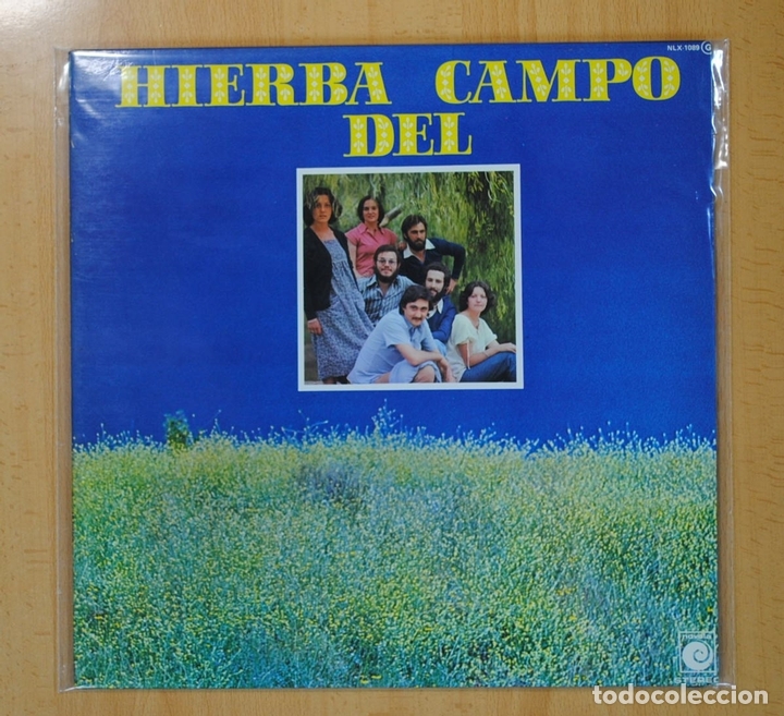 Discos de vinilo: HIERBA DEL CAMPO - HIERBA DEL CAMPO - LP - Foto 1